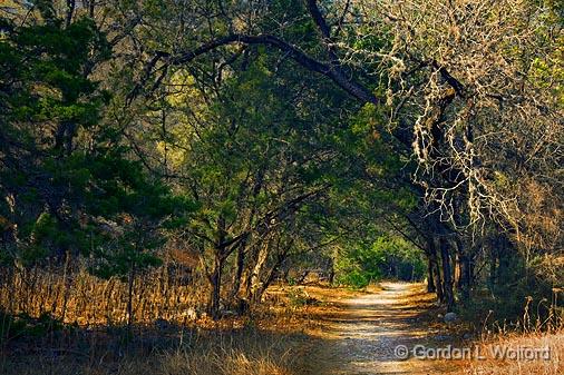 Maple Trail_44677.jpg - Lost Maples State Natural AreaPhotographed in Hill Country near Vanderpool, Texas, USA.